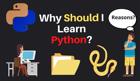 Should I learn Python or front-end?