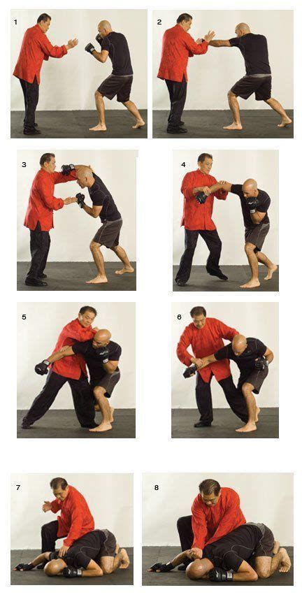 Should I learn Wing Chun or Krav Maga?