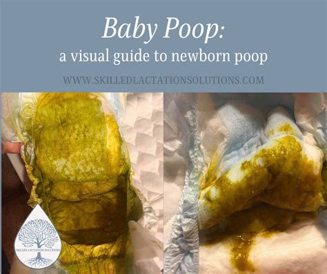 Should I let my baby cry to poop?