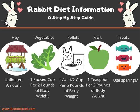 Should I let my bunny eat all day?