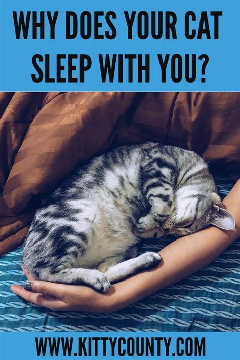 Should I let my cat sleep with me?