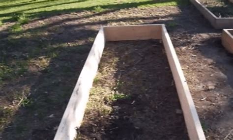 Should I put rocks in the bottom of my raised garden bed?