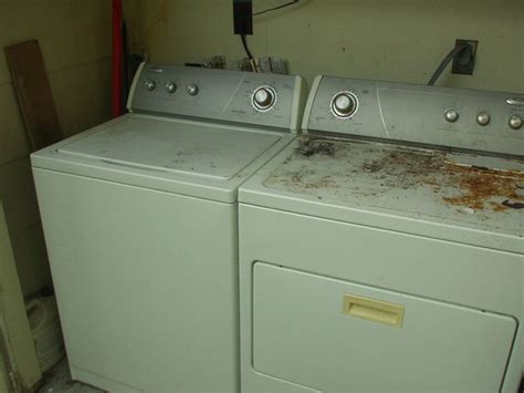 Should I repair a 9 year old washing machine?