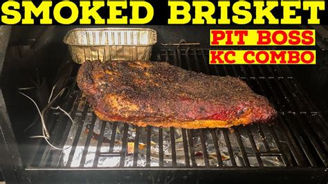 Should I smoke brisket at 180 or 225 pit boss?