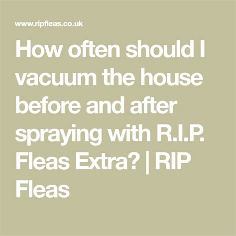 Should I spray for fleas before or after vacuuming?