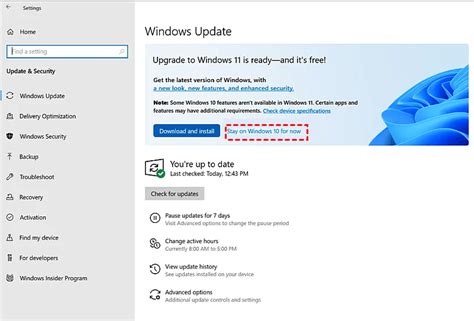 Should I stay on Windows 10 or go to 11?