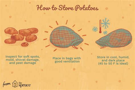 Should I store potatoes in the bag?