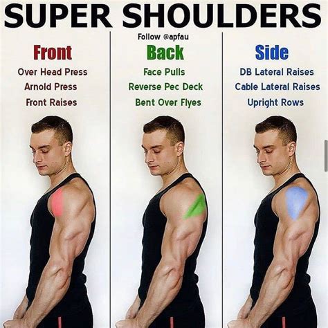 Should I train shoulders more than chest?