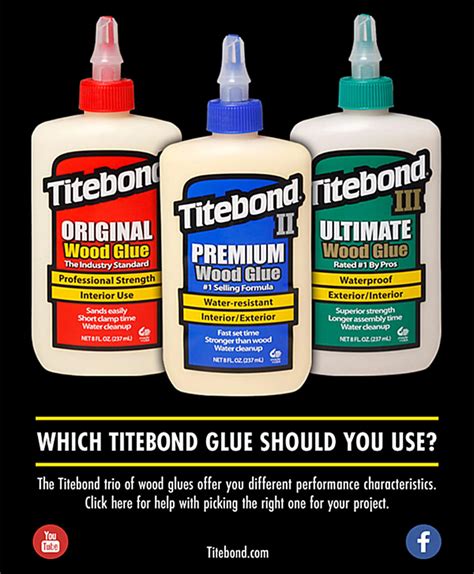 Should I use Titebond 2 or 3?