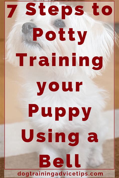 Should I use a bell to potty train my puppy?