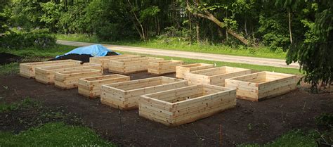 Should I use treated or untreated wood for raised beds?