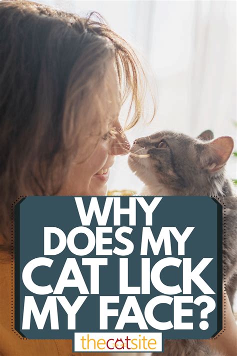 Should I wash my face if my cat licks me?