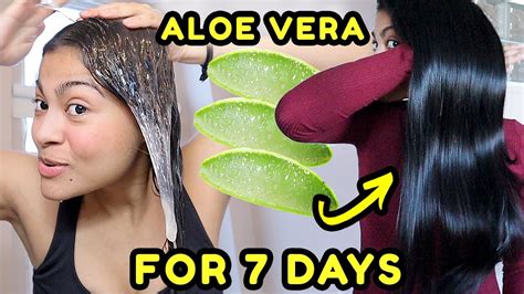 Should I wash my hair before or after aloe vera gel?