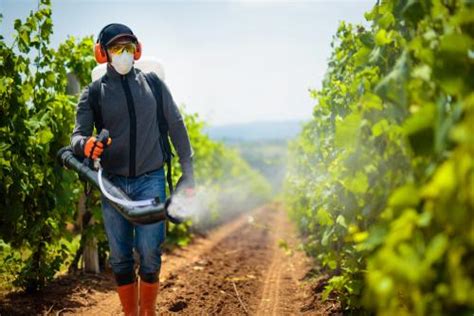 Should I wear a mask when spraying pesticides?