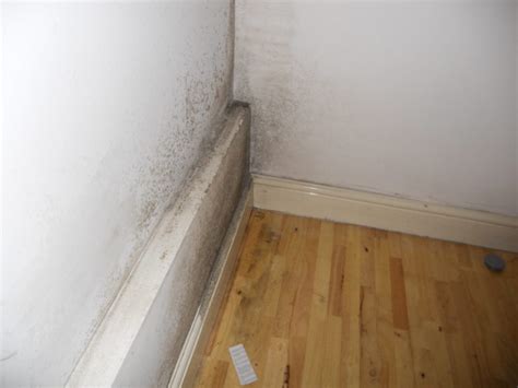 Should I worry about a damp basement?