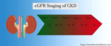 Should I worry if my eGFR is low?