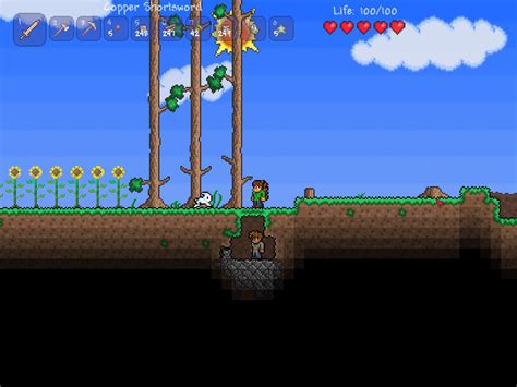 Should a 12 year old play Terraria?