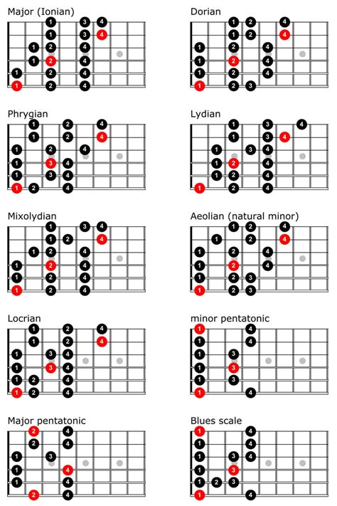 Should a beginner learn scales?