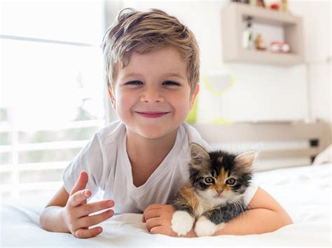 Should a kid get a cat?