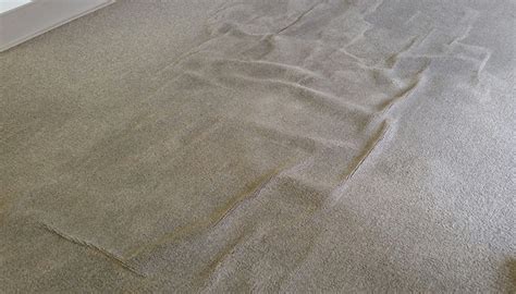 Should a new carpet have lines in?