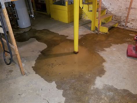 Should basement be wet or dry?