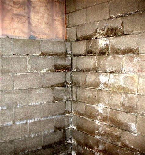 Should basement walls be wet?