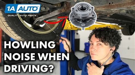 Should bearings make noise?