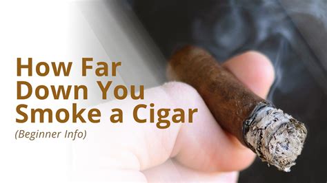 Should cigars feel moist?