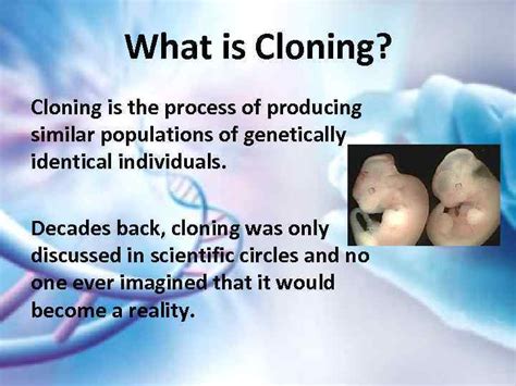 Should cloning be allowed?