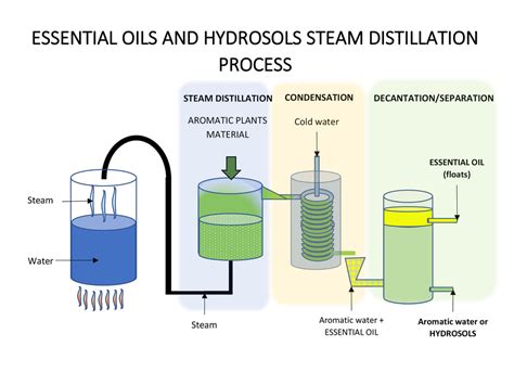 Should essential oils be steam distilled?