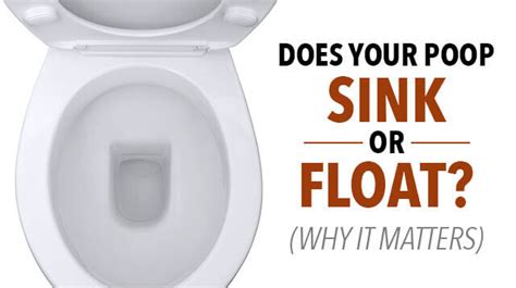 Should my poop float or sink?