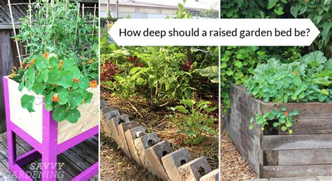 Should raised beds have a base?