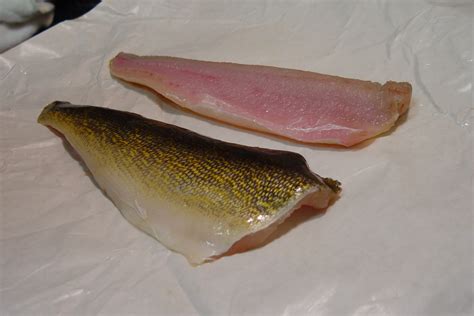 Should skin be removed from walleye?