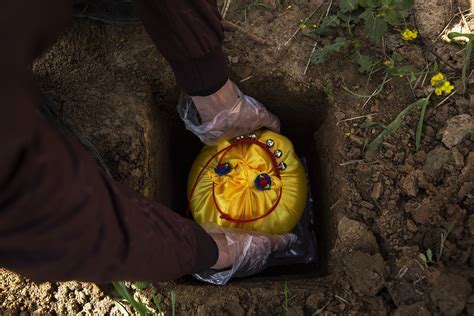 Should you bury a dead pet?