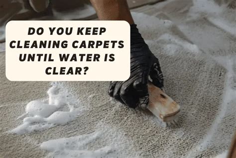 Should you clean carpet until water is clear?