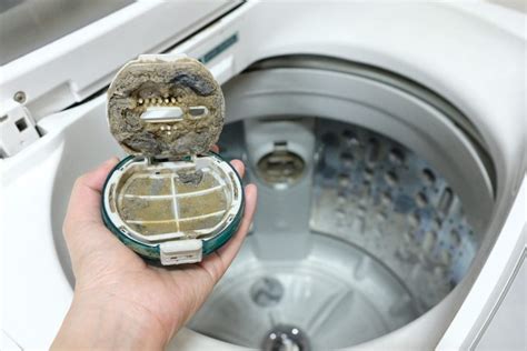 Should you clean the inside of your washing machine?