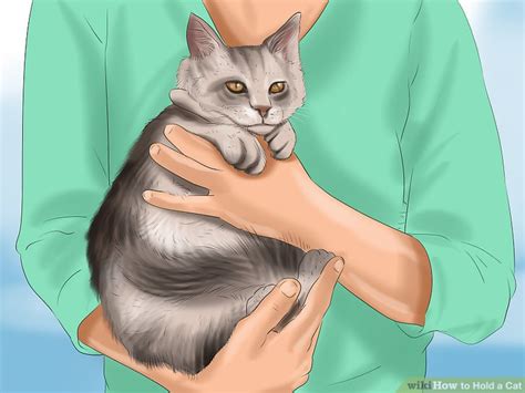 Should you hold your new kitten?
