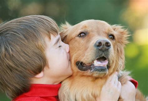 Should you hug your pets?