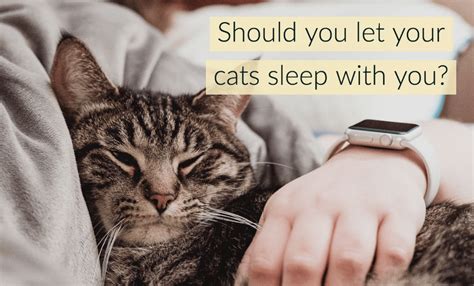 Should you let your cat sleep with you?