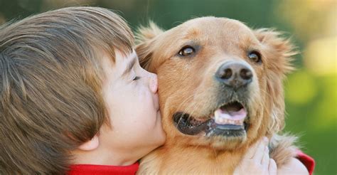 Should you let your dog kiss you on the lips?