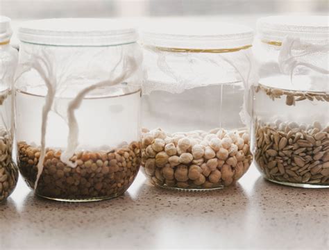 Should you soak all seeds in water before planting?