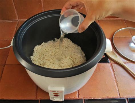 Should you start rice in hot or cold water?