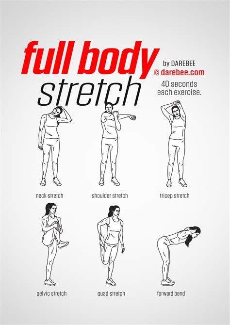 Should you stretch your entire body?