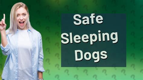 Should you touch your dog while sleeping?