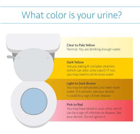 Should you urinate first thing in the morning?