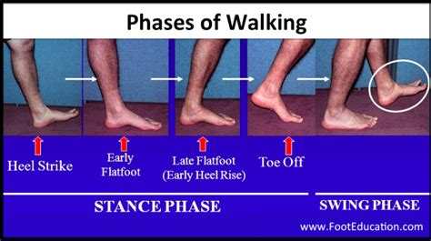 Should your heel touch the ground first when walking?