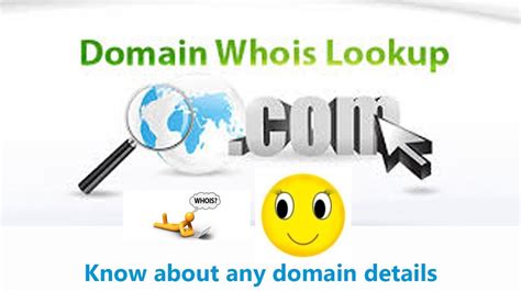 WHOIS the owner of domain names?