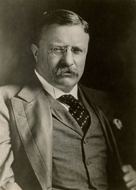 Was Roosevelt president in 1901?