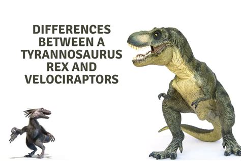 Was T. rex smarter than a human?