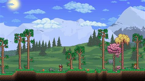 Was Terraria made by one guy?